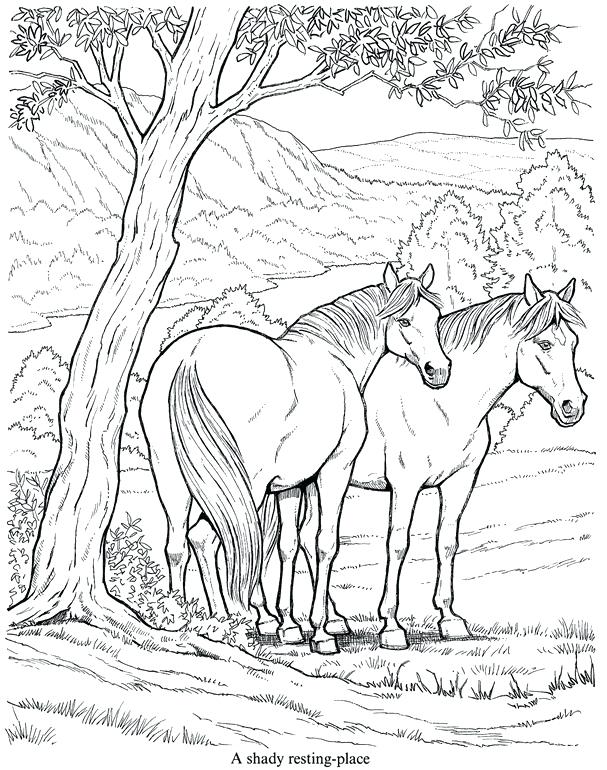 Detailed Horse Coloring Pages at GetColoringscom Free