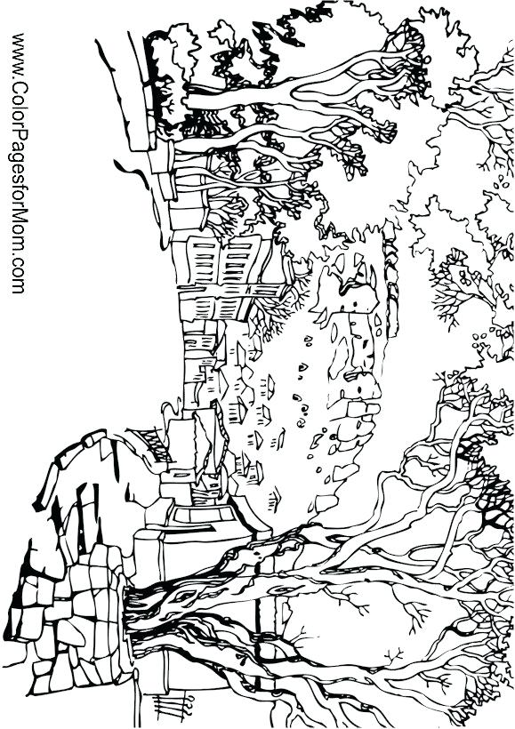 Detailed Landscape Coloring Pages For Adults at GetColorings.com | Free