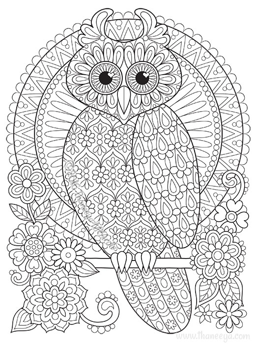 Detailed Owl Coloring Pages at GetColorings.com | Free printable