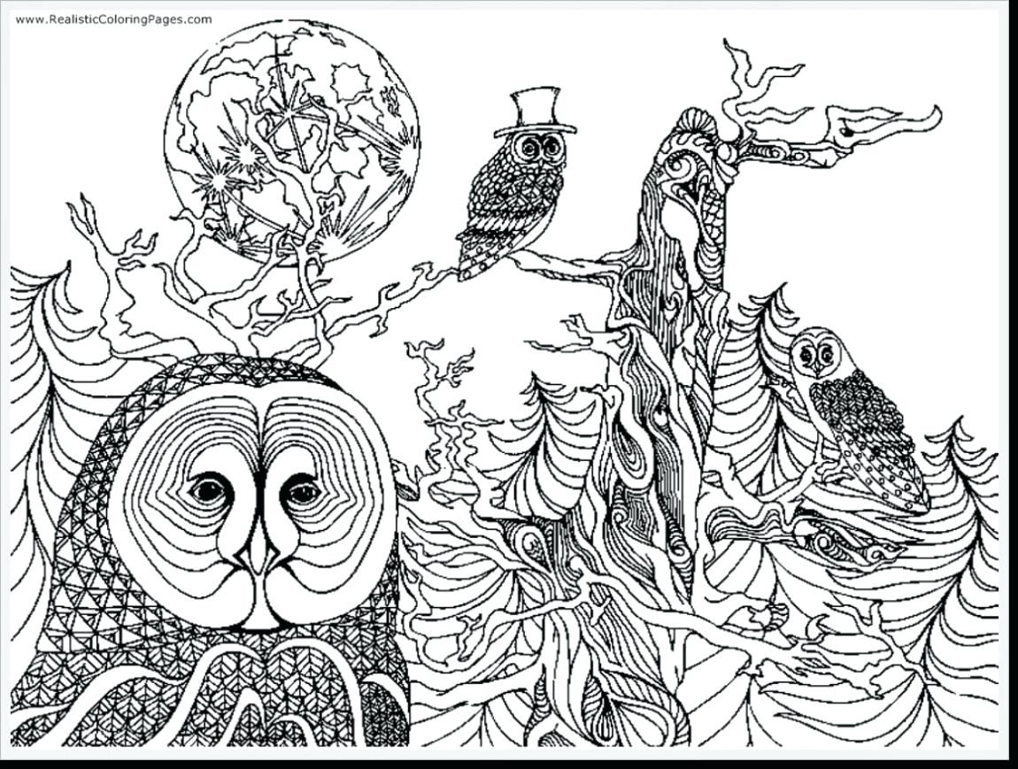 Detailed Owl Coloring Pages at GetColorings.com | Free printable