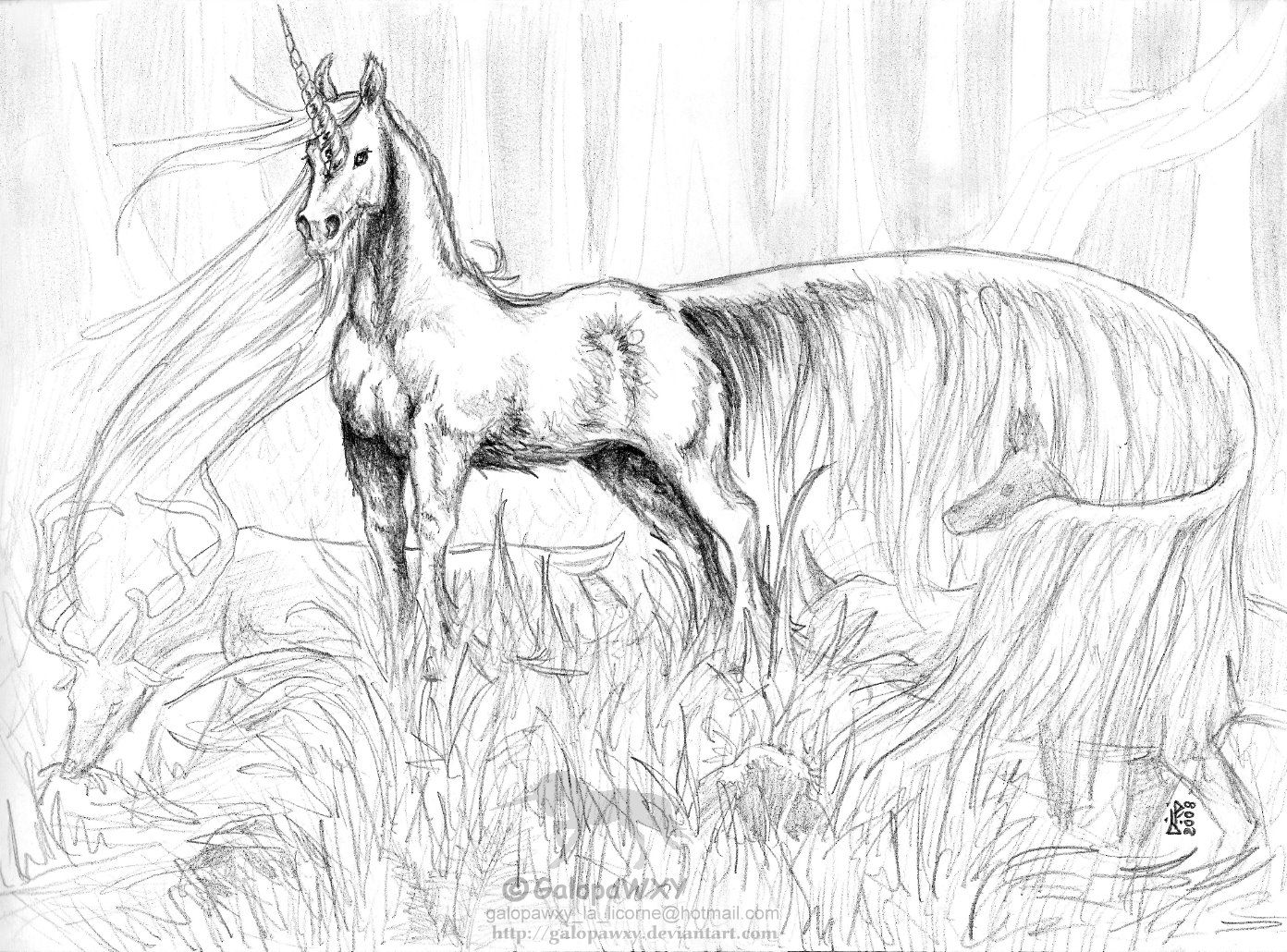 Detailed Unicorn Coloring Pages at GetColorings.com | Free ...