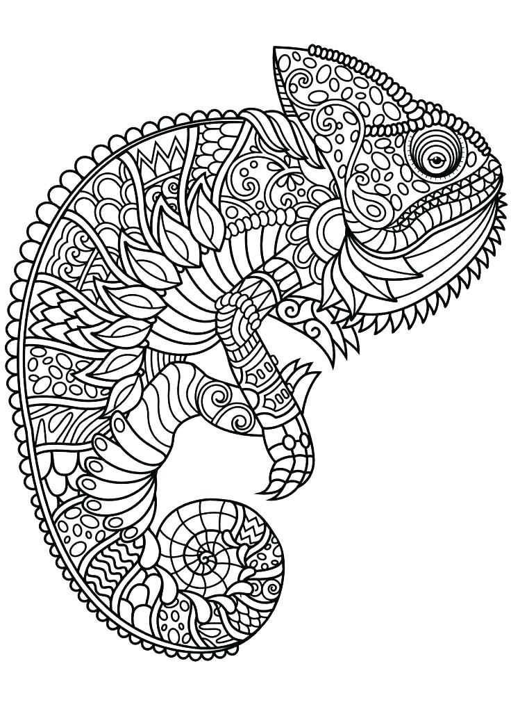 Difficult Animal Coloring Pages at Free printable colorings pages to print