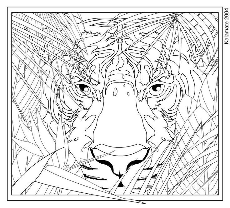 Difficult Animal Coloring Pages at Free printable