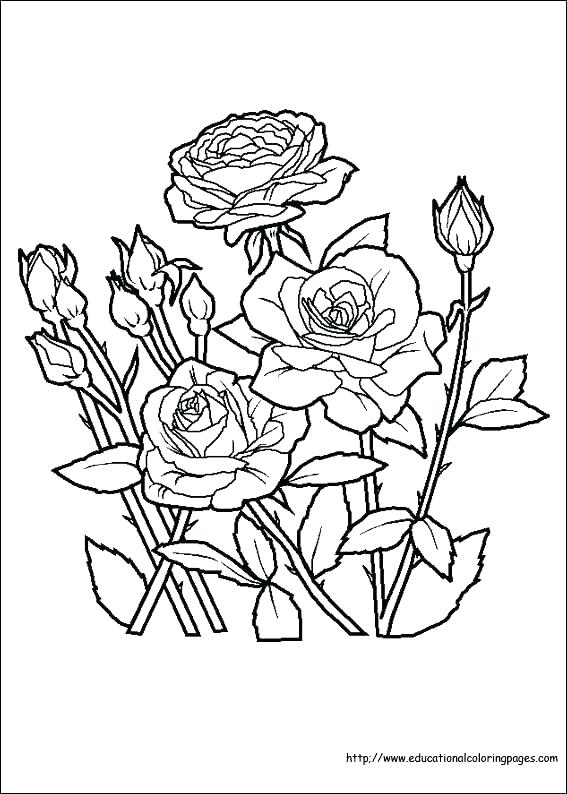Difficult Flower Coloring Pages at GetColorings.com | Free printable