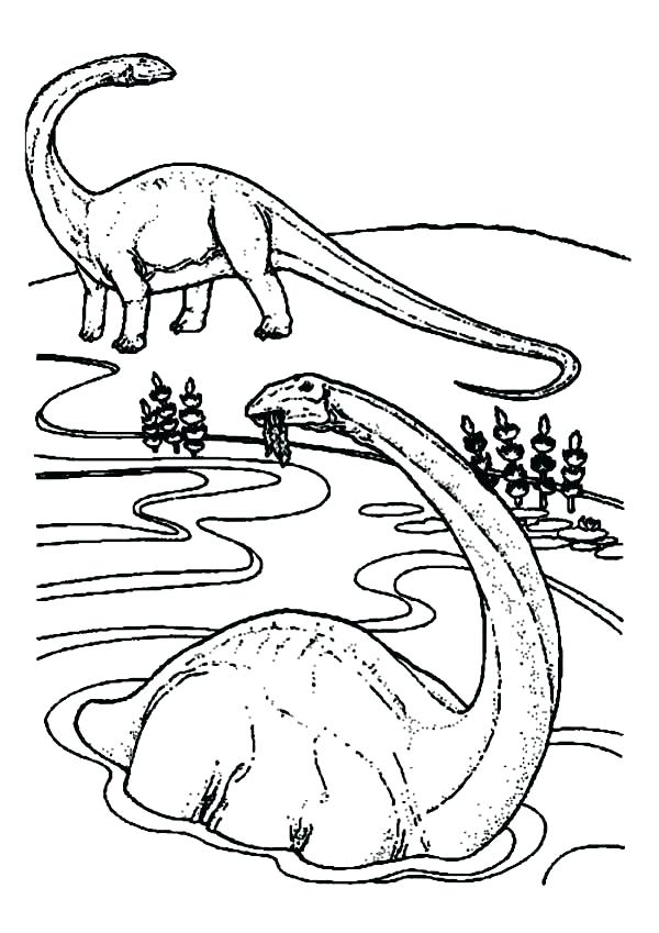 Dinosaur Coloring Pages For Adults at GetColorings.com | Free printable