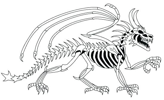 Dinosaur Outline Coloring Pages at GetColorings.com | Free printable