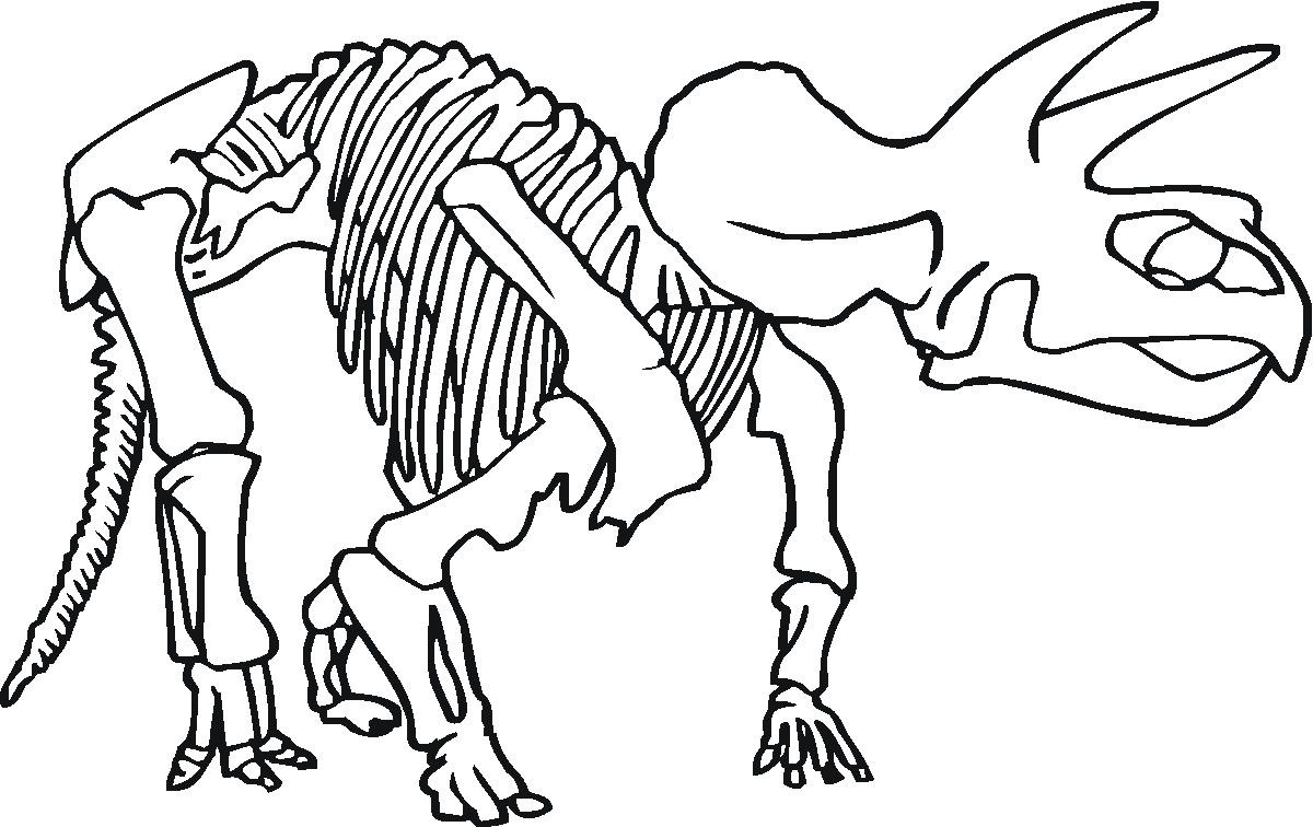 Dinosaur Skeleton Coloring Pages at Free printable