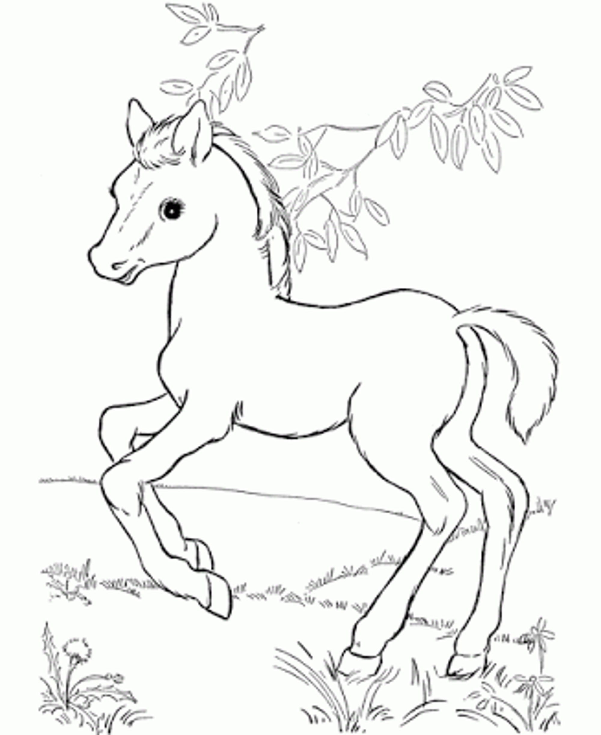 Free Printable Horse Color Sheets