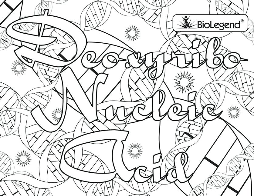 Dna Coloring Page at GetColorings.com | Free printable colorings pages