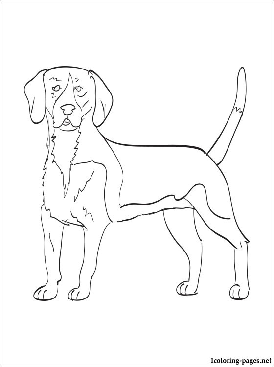 Doberman Pinscher Coloring Pages at GetColorings.com | Free printable