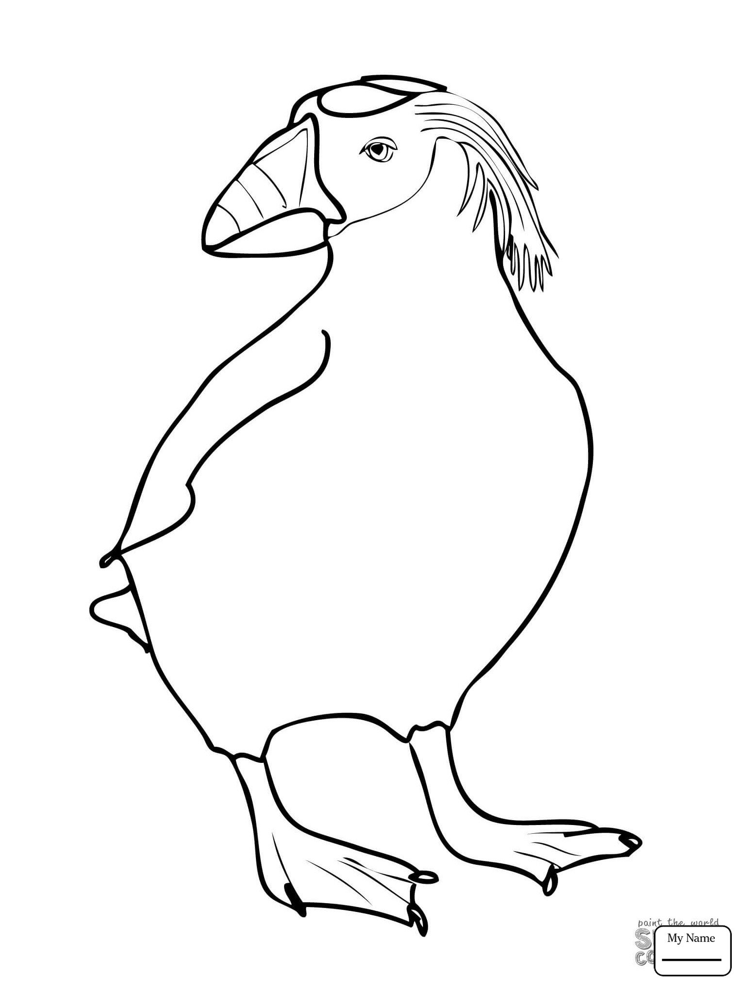 Dodo Coloring Pages at GetColorings.com | Free printable colorings