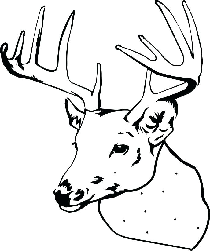 Doe Coloring Pages at GetColorings.com | Free printable colorings pages
