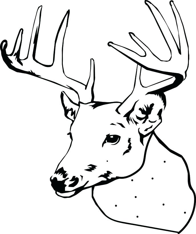 Doe Coloring Pages At GetColorings Free Printable Colorings Pages 