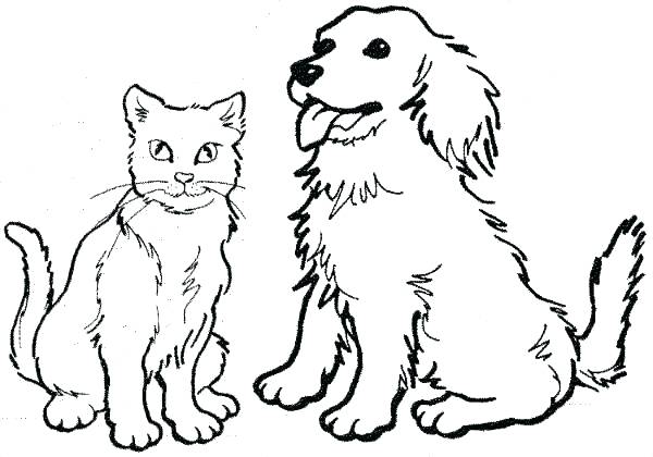 Dog And Cat Coloring Pages Printable at GetColoringscom