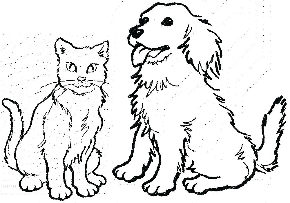 Dog Breed Coloring Pages at GetColorings.com | Free printable colorings