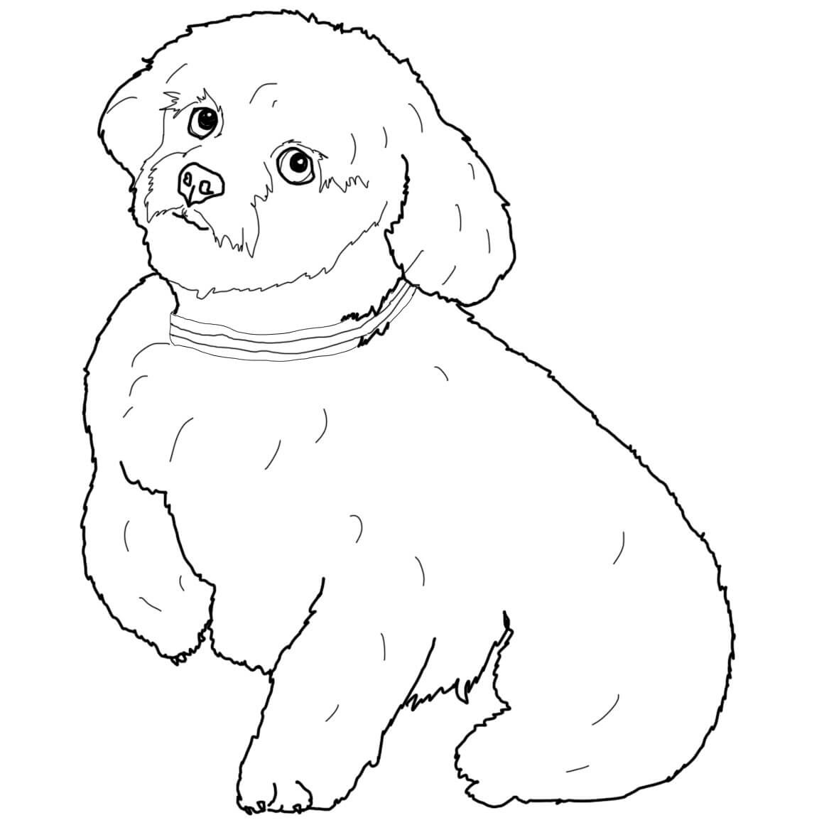 Dog Face Coloring Page at GetColorings.com | Free printable colorings