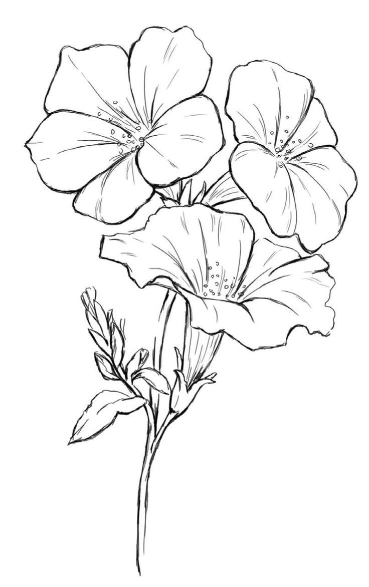 Dogwood Tree Coloring Page at GetColorings.com | Free printable