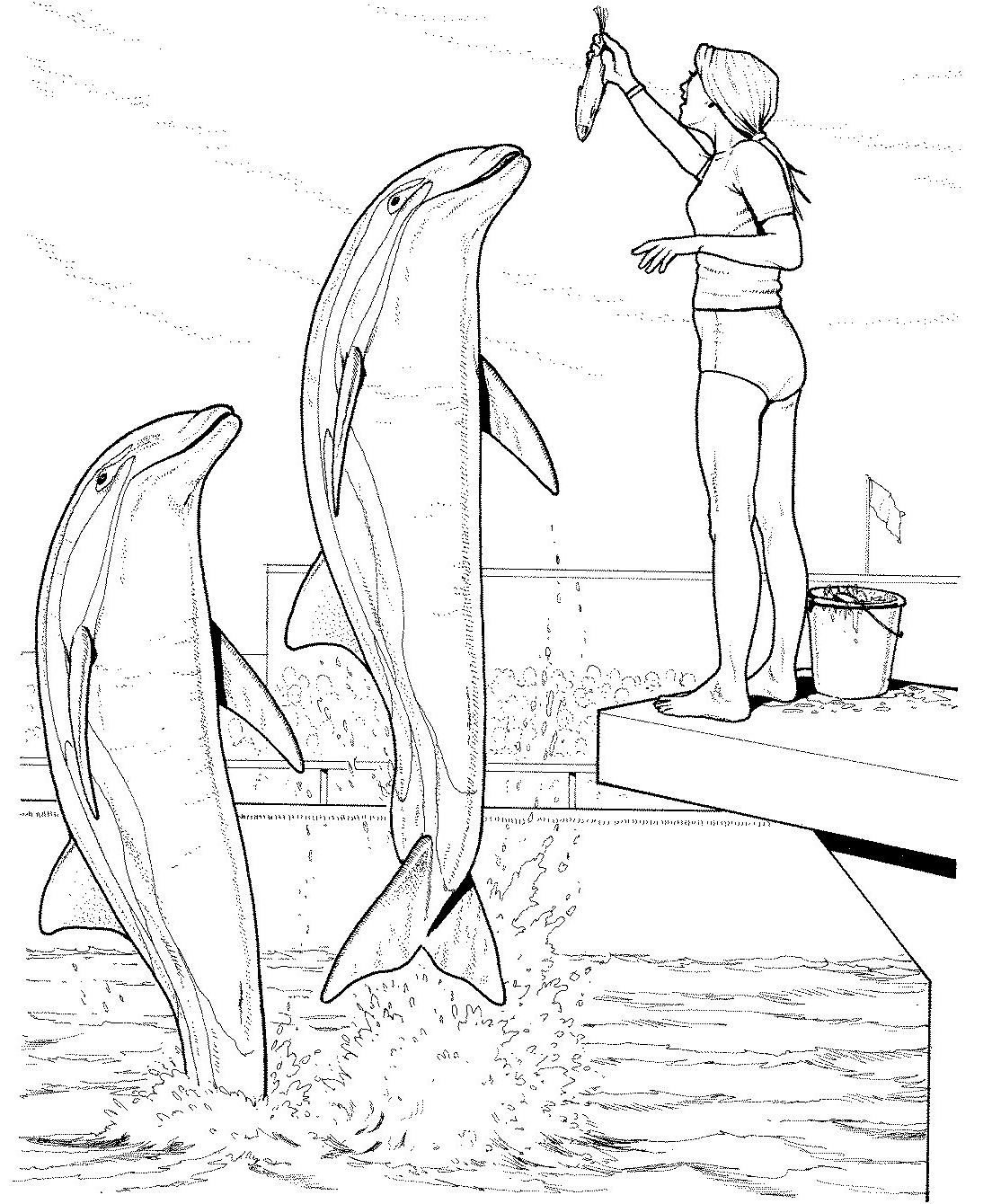 Dolphin Coloring Pages For Kids at GetColorings.com | Free printable
