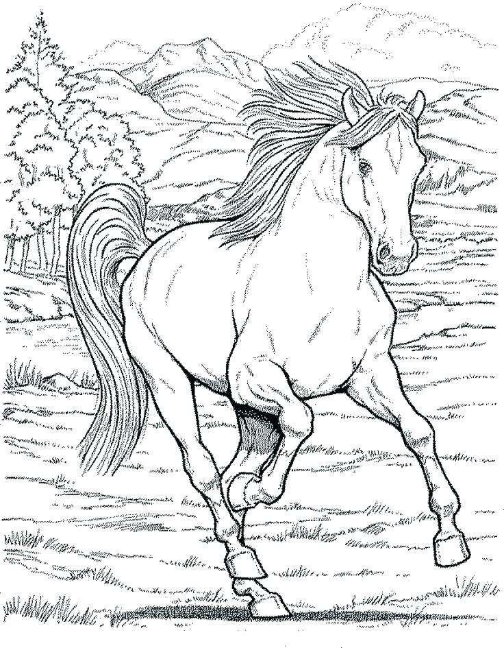 Draft Horse Coloring Pages at GetColorings.com | Free printable