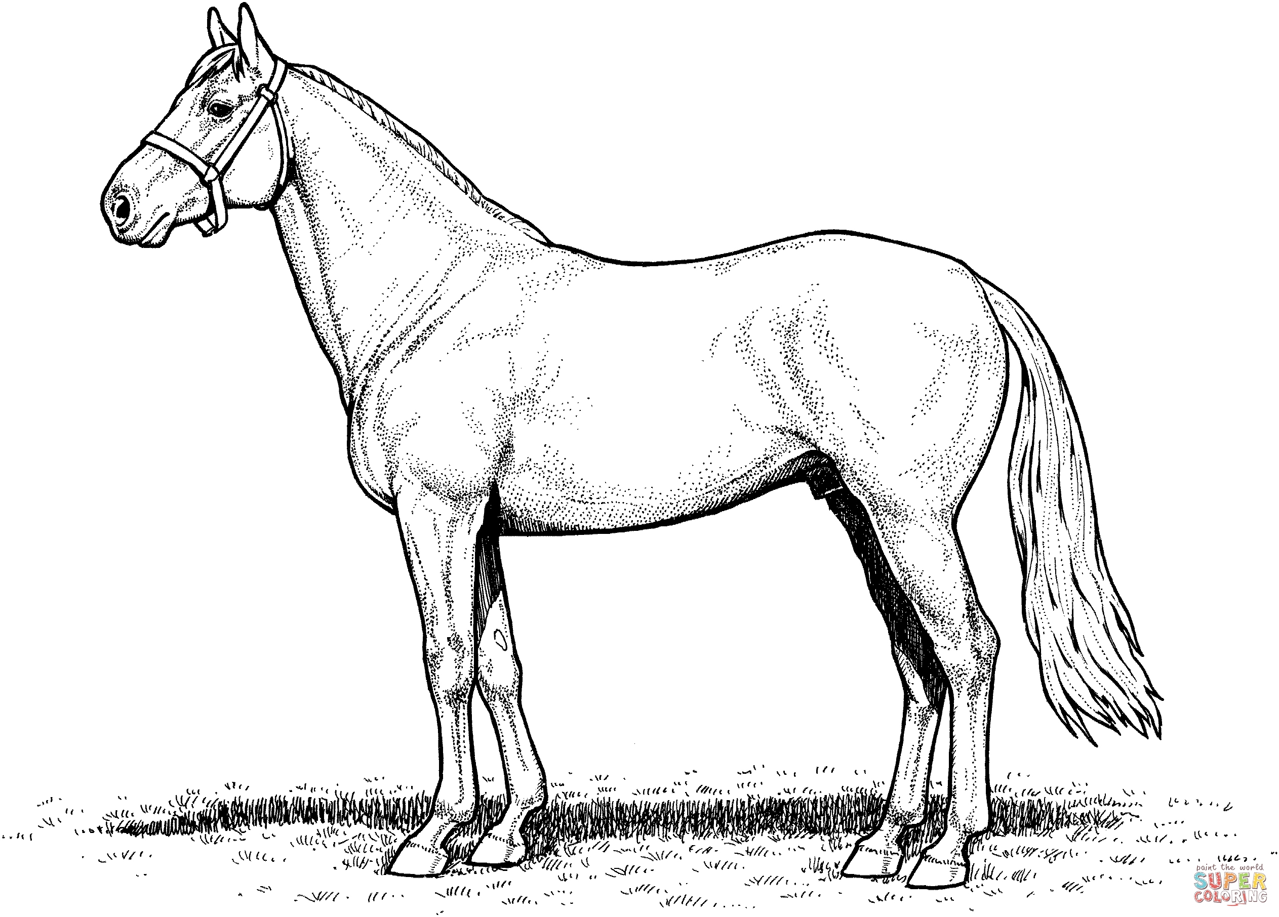 Draft Horse Coloring Pages At GetColorings Free Printable 