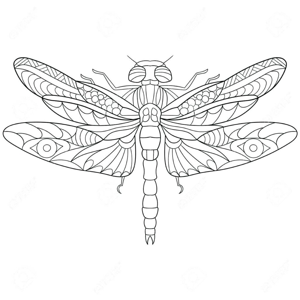 Dragonfly Coloring Pages For Adults at GetColorings.com | Free
