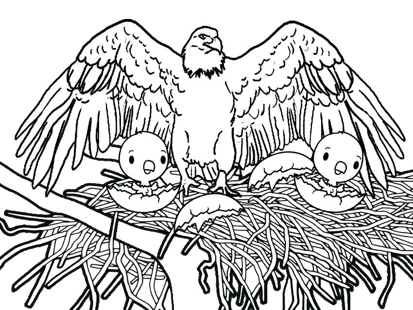 852 Cute Go Eagles Coloring Pages for Kindergarten