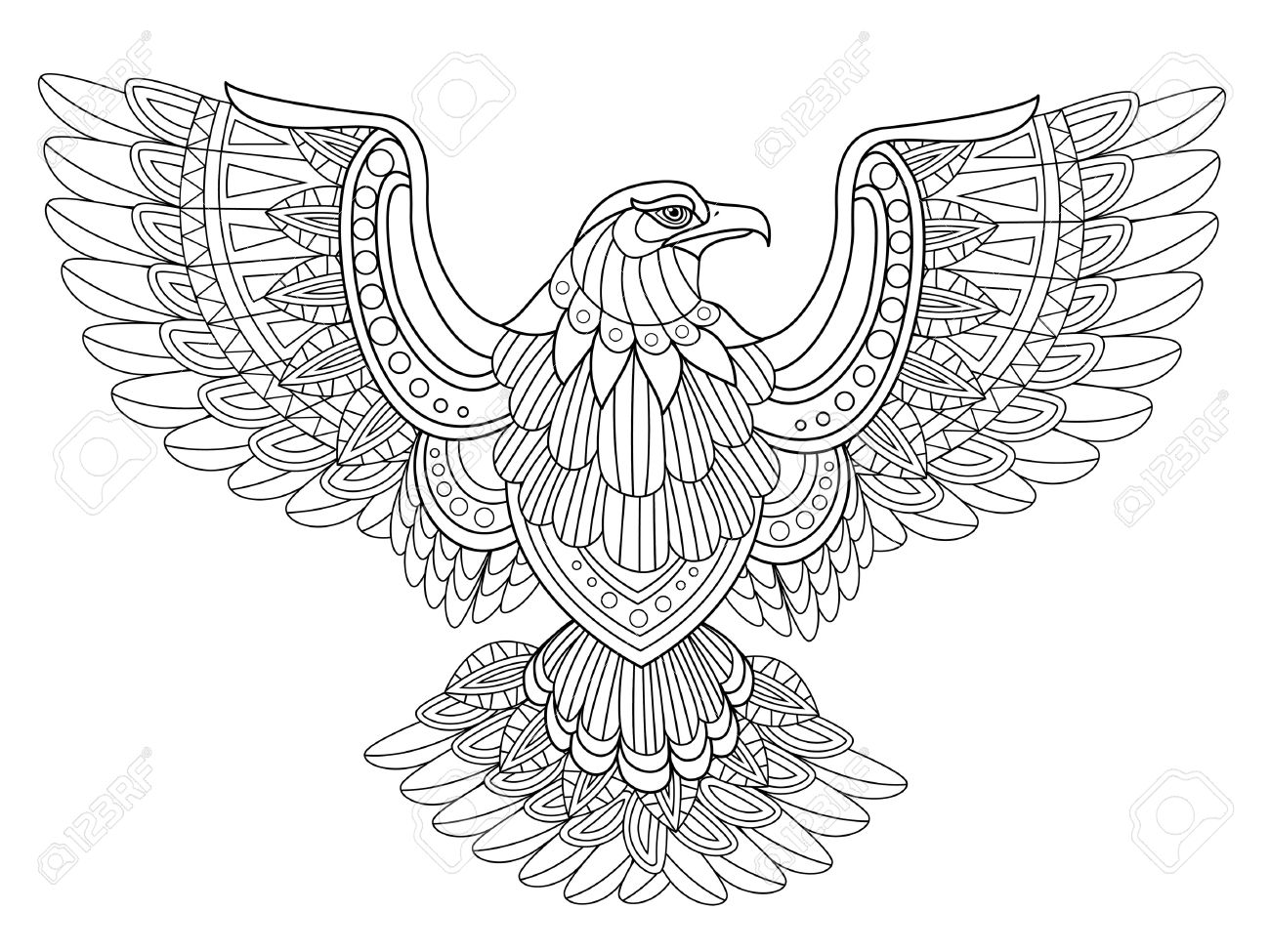 Eagle Coloring Pages For Adults at GetColorings.com | Free printable