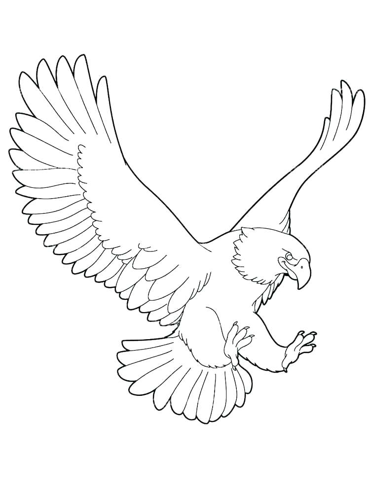 Eagle Feather Coloring Page at GetColorings.com | Free printable