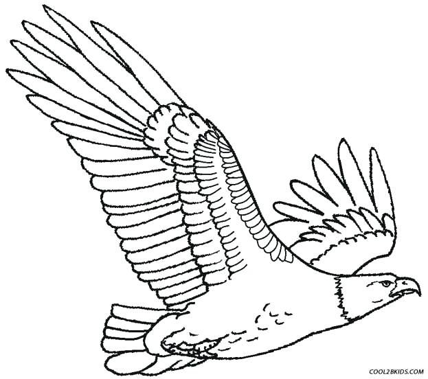 Eagles Logo Coloring Pages at GetColorings.com | Free printable