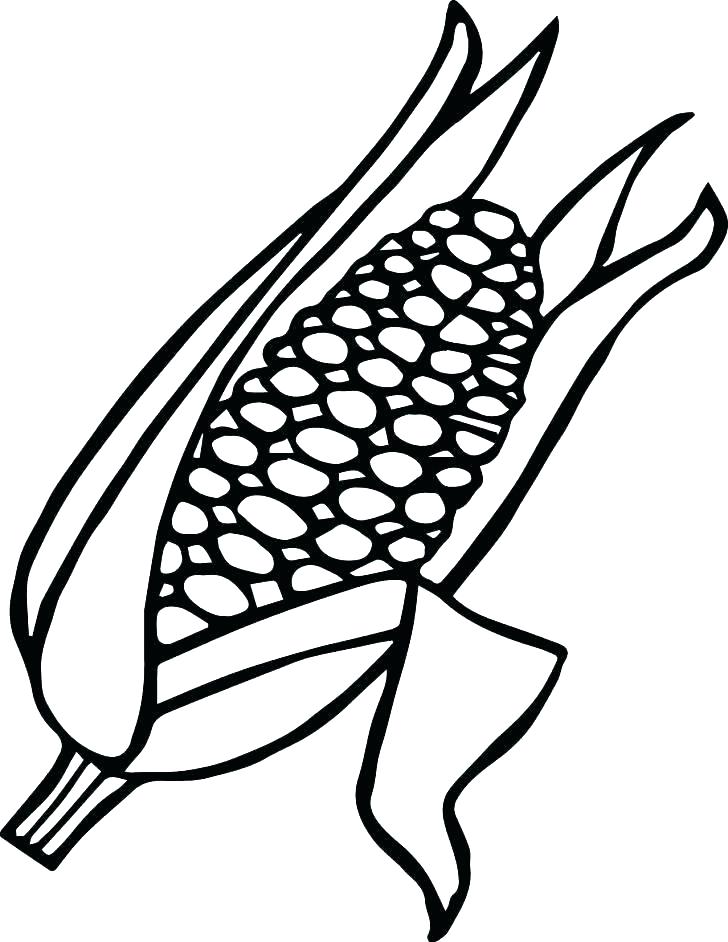 Ear Of Corn Coloring Page at GetColorings.com | Free printable