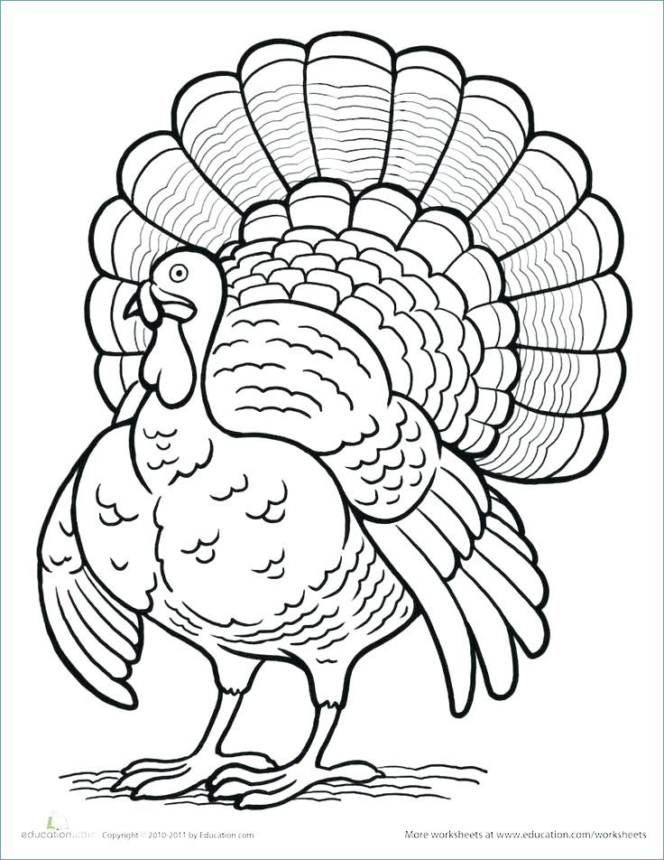Easy Turkey Coloring Page at Free printable