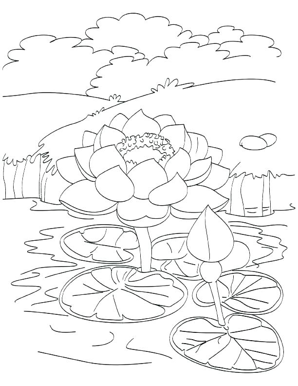 ecosystem-coloring-pages-at-getcolorings-free-printable-colorings