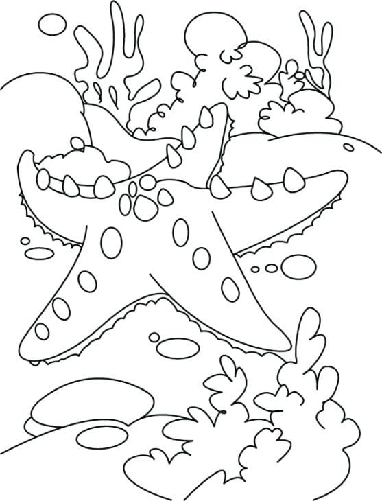 Ecosystem Coloring Pages at GetColorings.com | Free printable colorings