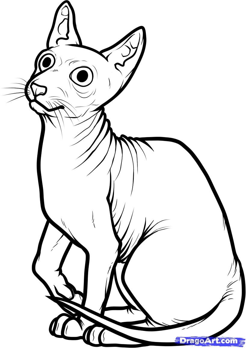 Egyptian Cat Coloring Pages at GetColorings.com | Free printable