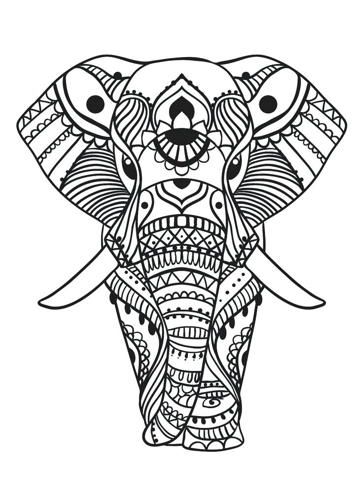 Elephant Coloring Pages at GetColorings.com | Free printable colorings