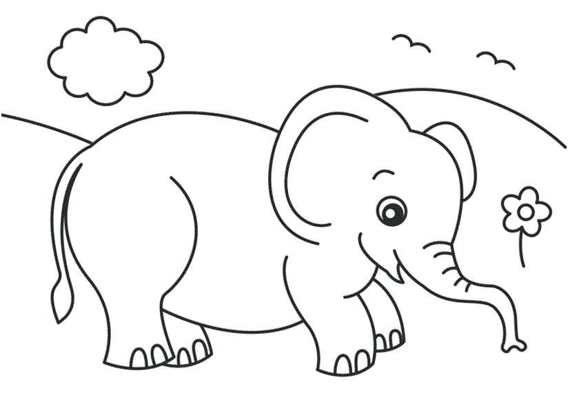 827x609 Free Printable Elephant Coloring Pages For Kids