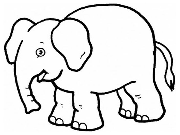 736x552 Elephant Page Free Printable Coloring Pages For Kids