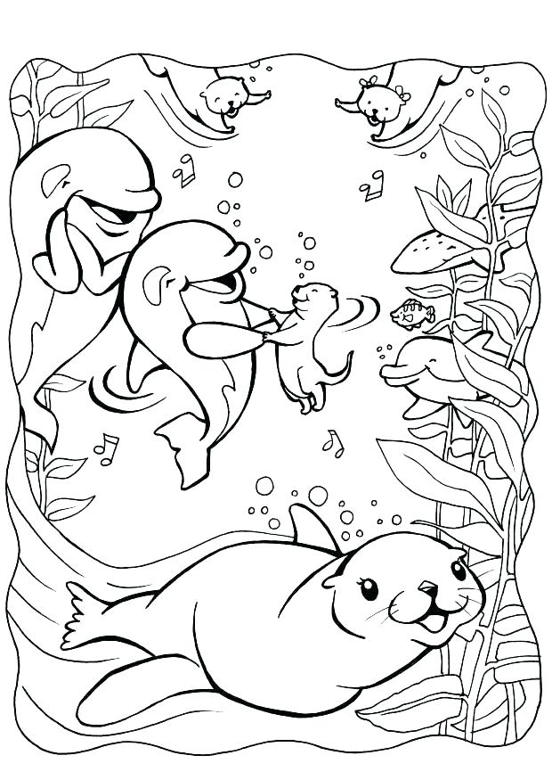 Elephant Seal Coloring Page at GetColorings.com | Free printable