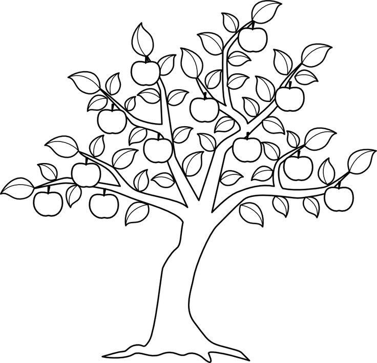 Elm Tree Coloring Pages at GetColorings.com | Free printable colorings