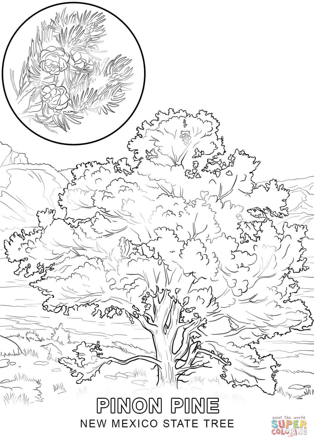 Elm Tree Coloring Pages at GetColorings.com | Free printable colorings