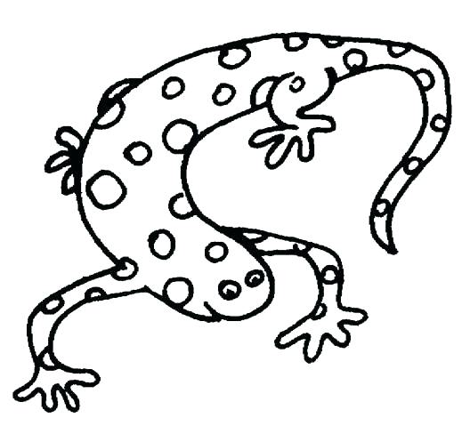 Endangered Species Coloring Pages at GetColorings.com | Free printable