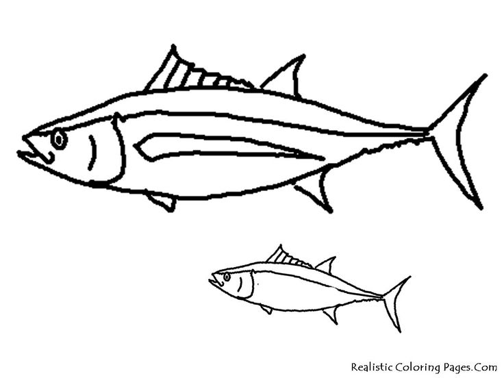 Exotic Fish Coloring Pages at GetColorings.com | Free printable