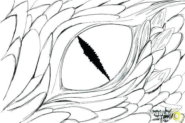 Realistic Eye Coloring Coloring Pages