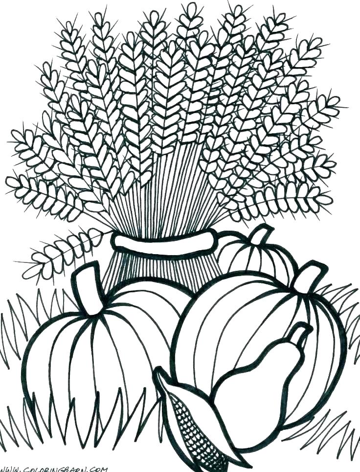 Fall Coloring Pages at GetColorings.com | Free printable colorings