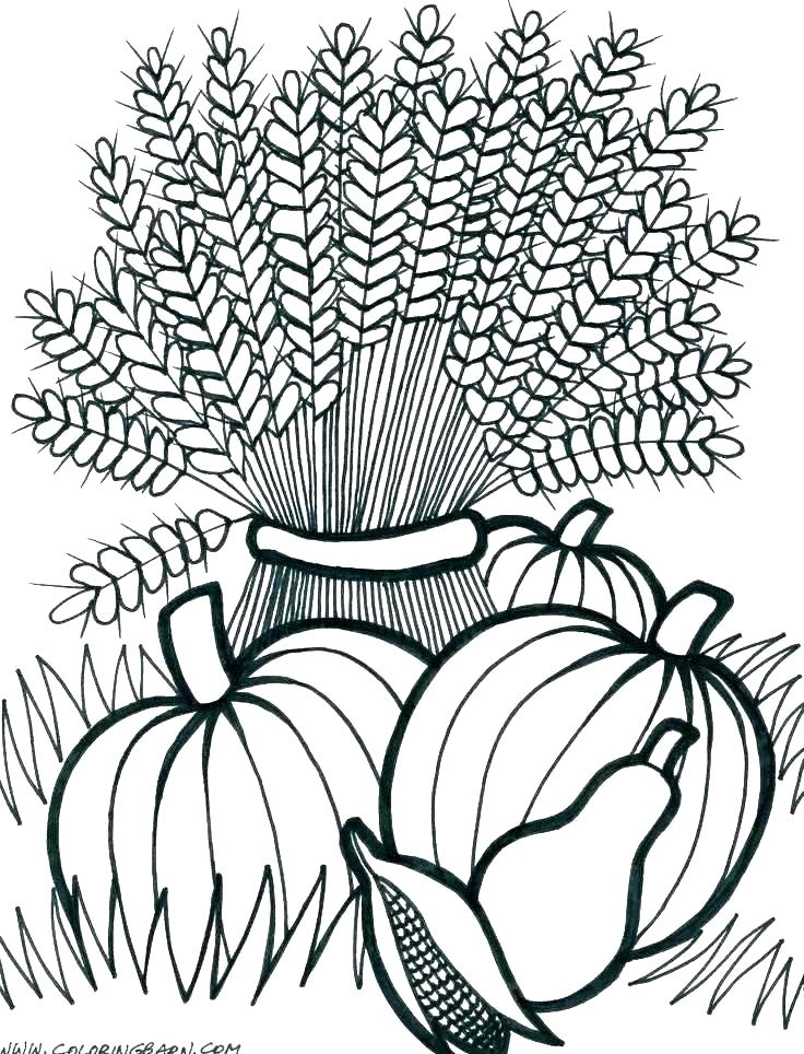 Fall Coloring Pages At GetColorings Free Printable Colorings Pages To Print And Color