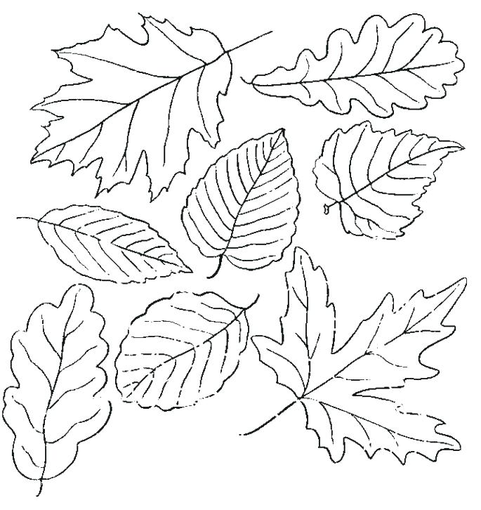 Miniforce Coloring Pages at GetColorings.com | Free printable colorings