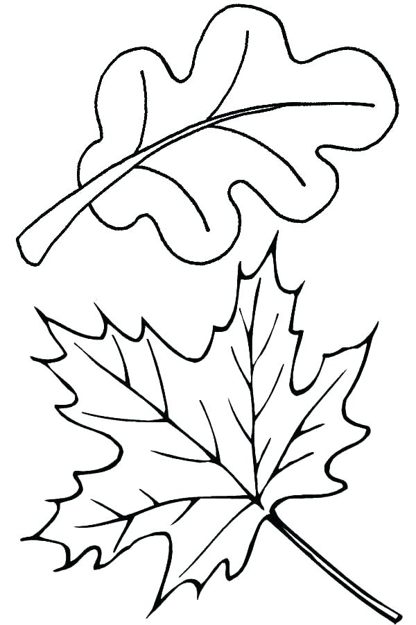 Fall Leaves Clip Art Coloring Pages at GetColorings.com | Free