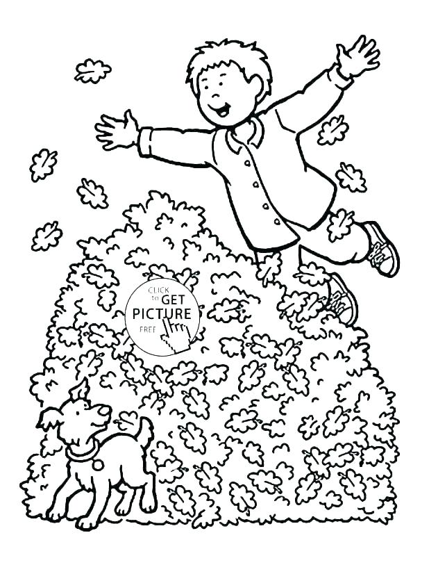 Fall Leaves Coloring Pages For Kindergarten at GetColorings.com | Free