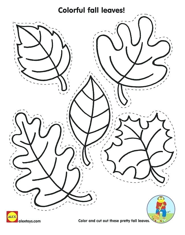 Fall Leaves Coloring Pages For Kindergarten At GetColorings Free 