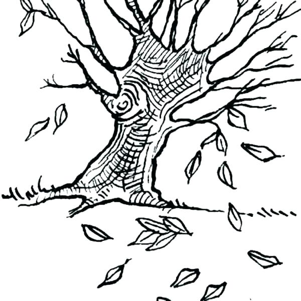 Fall Leaves Coloring Pages For Kindergarten at GetColorings.com | Free